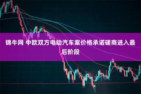 锦牛网 中欧双方电动汽车案价格承诺磋商进入最后阶段