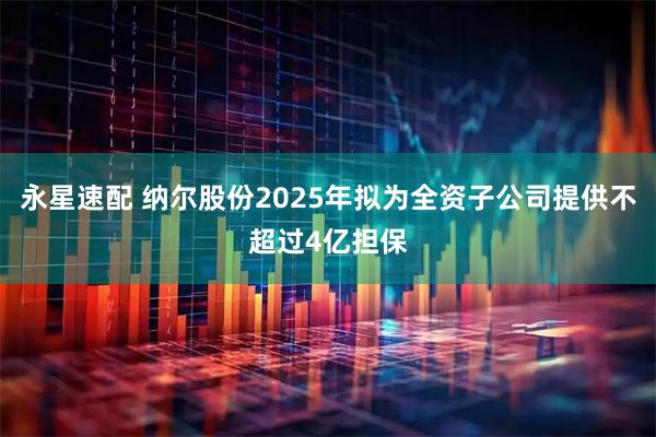永星速配 纳尔股份2025年拟为全资子公司提供不超过4亿担保