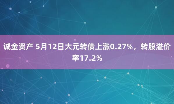 诚金资产 5月12日大元转债上涨0.27%，转股溢价率17.2%