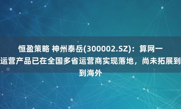 恒盈策略 神州泰岳(300002.SZ)：算网一体化运营产品已在全国多省运营商实现落地，尚未拓展到海外