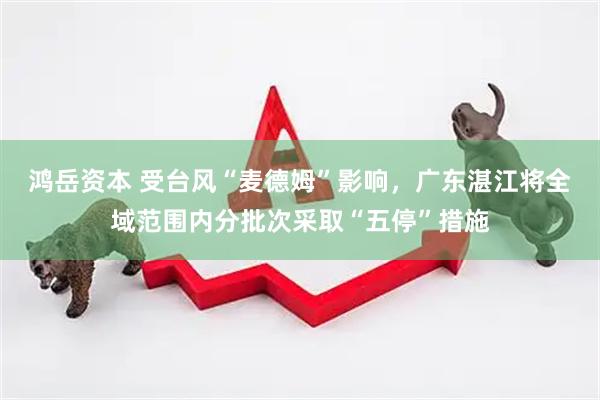 鸿岳资本 受台风“麦德姆”影响，广东湛江将全域范围内分批次采取“五停”措施