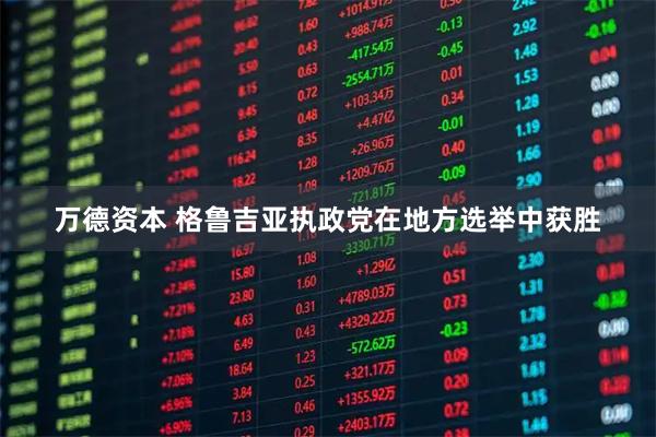 万德资本 格鲁吉亚执政党在地方选举中获胜