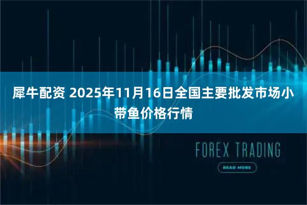 犀牛配资 2025年11月16日全国主要批发市场小带鱼价格行情