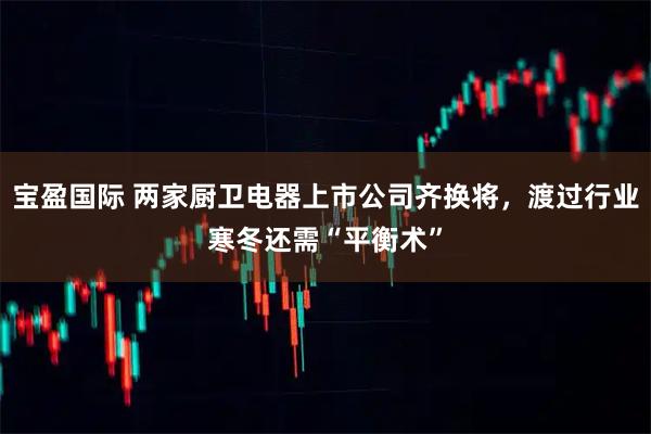宝盈国际 两家厨卫电器上市公司齐换将,渡过行业寒冬还需“平衡术”