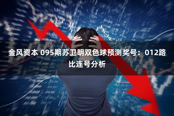 金风资本 095期苏卫明双色球预测奖号：012路比连号分析